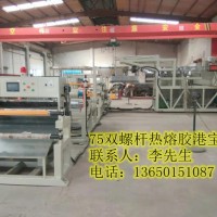 港寶機，港寶機器，低溫港寶機，熱熔膠港寶機，低溫?zé)崛勰z港寶機