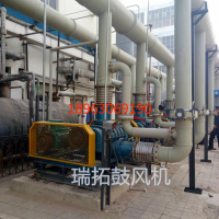 羅茨鼓風(fēng)機(jī)中雙極羅茨鼓風(fēng)機(jī)的原理