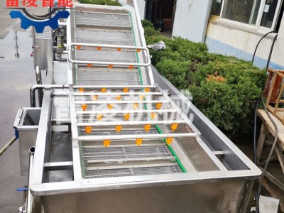 果蔬氣泡清洗機 紅薯土豆清洗設備 大姜清洗機生產(chǎn)廠家