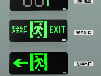 智能疏散指示系統(tǒng)生產(chǎn)廠家，2024智能疏散指示系統(tǒng)推薦