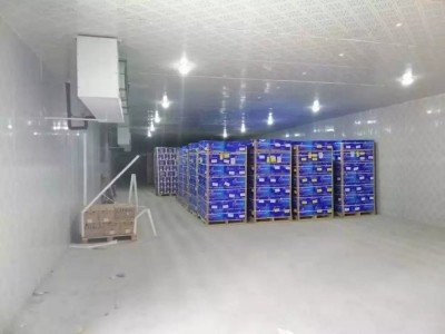 回收二手聚氨酯保溫板二手冷庫板回收上?；厥张f冷庫