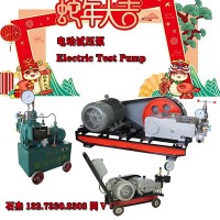 電動(dòng)試壓泵裝置詳情
