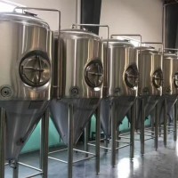 定制精釀啤酒設(shè)備直銷廠家 5000升果啤精釀啤酒設(shè)備供應(yīng)廠家